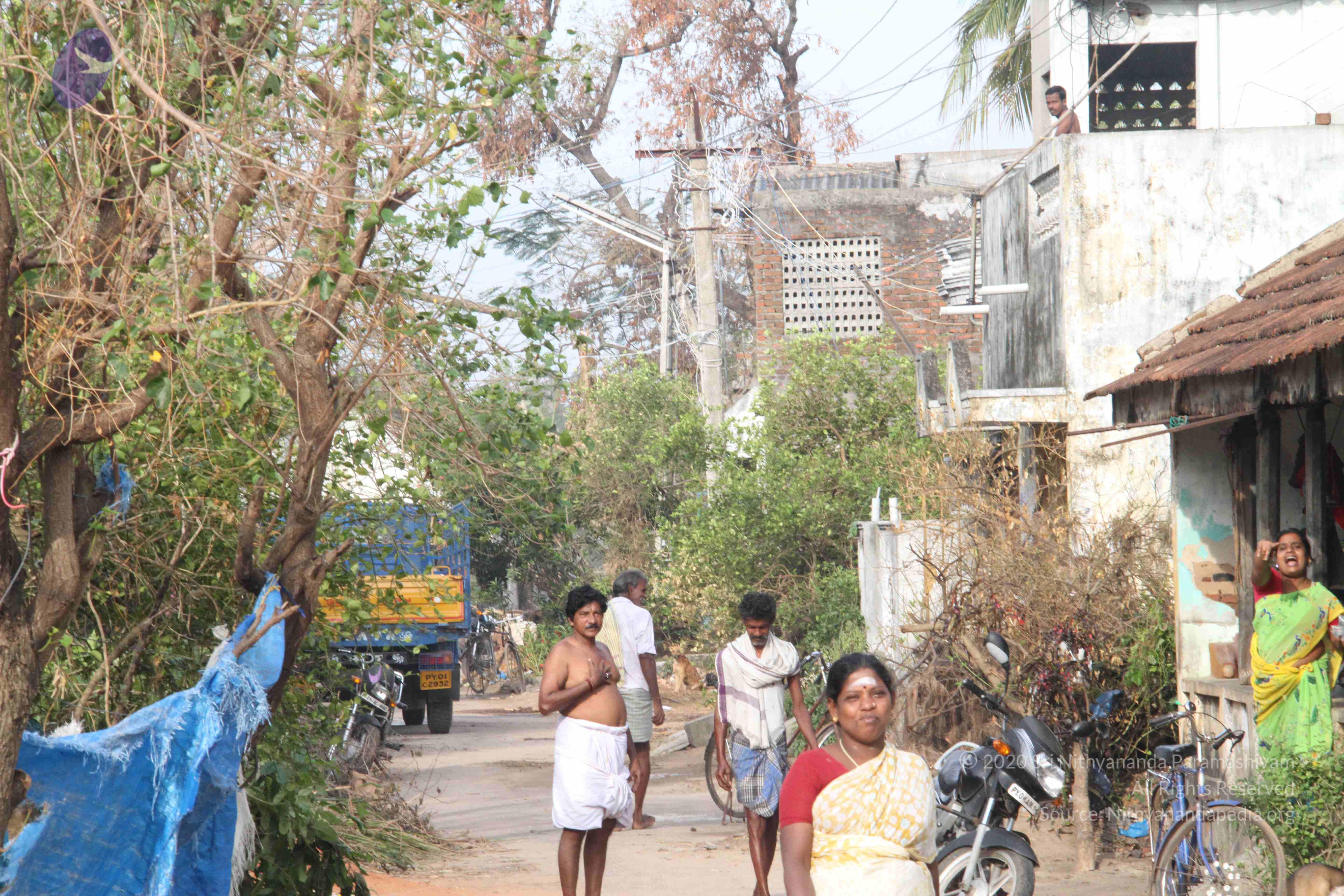 20120107_Photo_1096_IMG_5087_CMP_WM